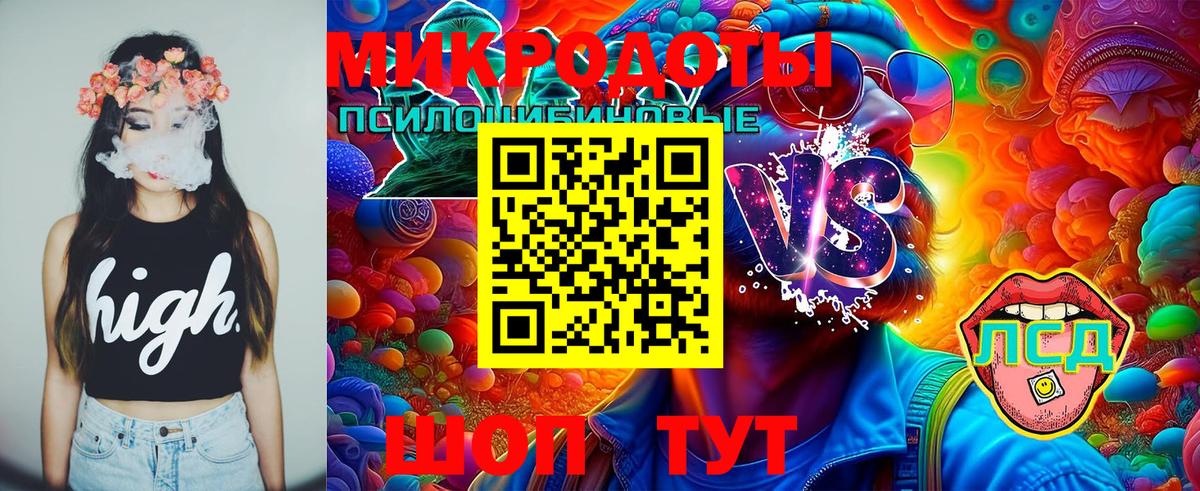 Галлюциногенные грибы Psilocybine cubensis  где найти   Галлюциногенные грибы GOLDEN TEACHER  Шебекино  Вход с VPN 